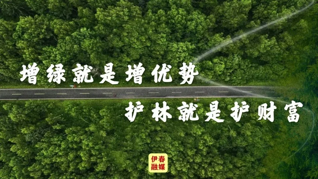 金林区:全力以赴护航中考-第2张图片-四季读书网