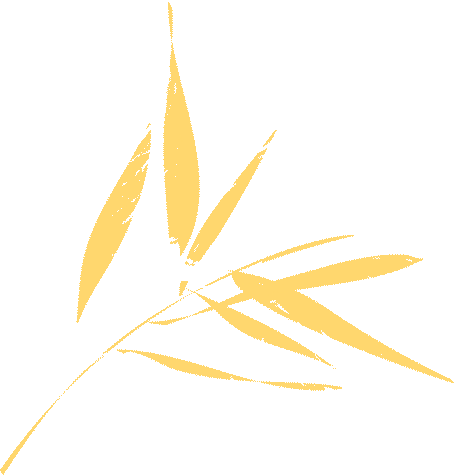 从中考失利到职教高考全省第一逆袭本科:中职三年,我活成了自己的光-第32张图片-四季读书网