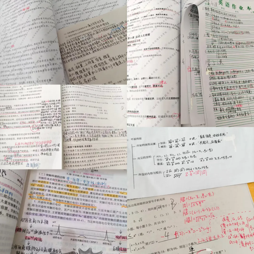 从中考失利到职教高考全省第一逆袭本科:中职三年,我活成了自己的光-第33张图片-四季读书网