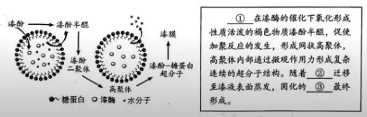 2026届湖北中考 语文真题及答案-第6张图片-四季读书网