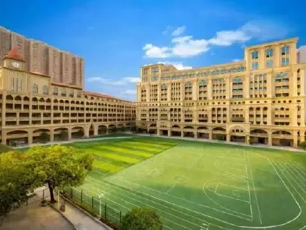 WOHS 中考升学指南|普高与A-Level/AP/HSC国际课程怎么选?Which Senior High Pathway?-第10张图片-四季读书网