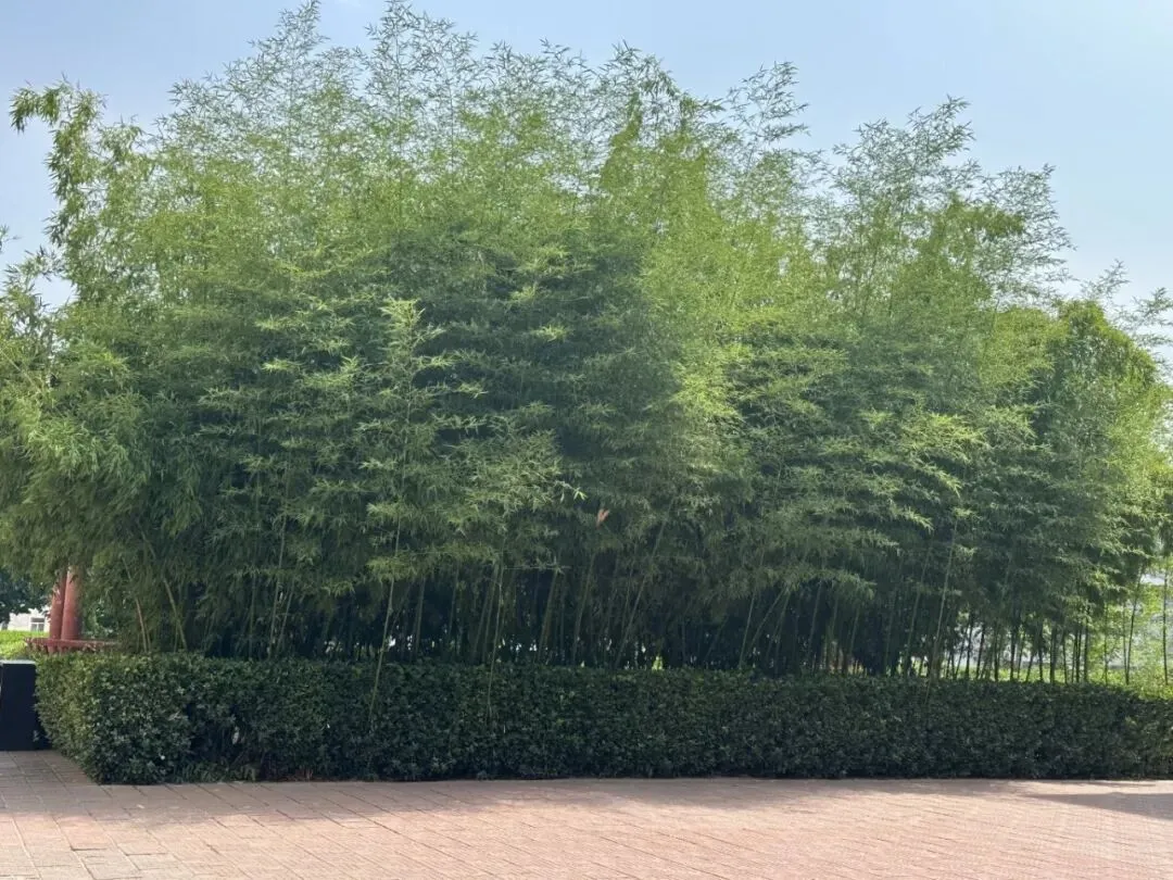 中考结束后,襄汾实验高中给初中毕业生家长的十条建议-第3张图片-四季读书网