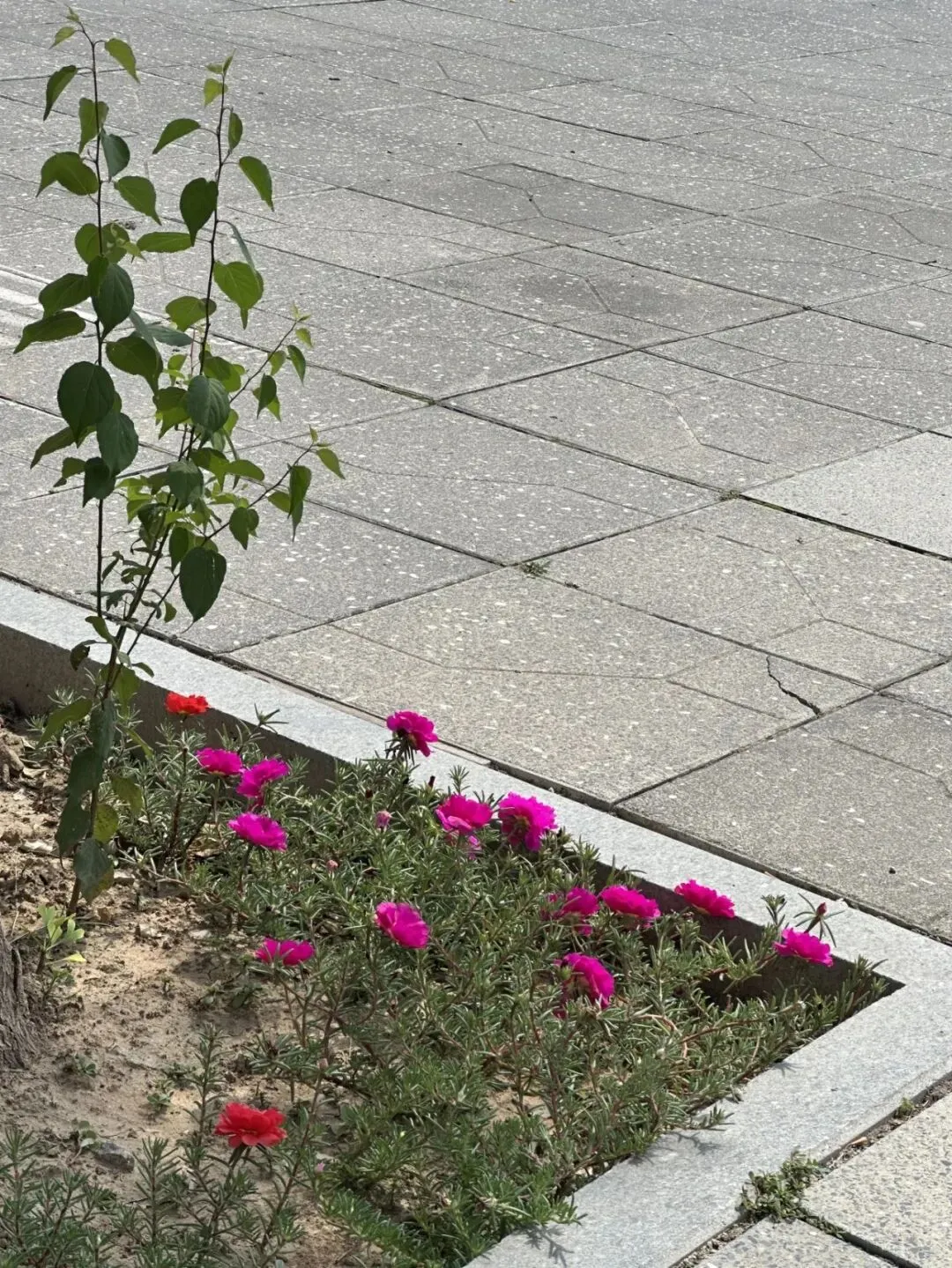 中考结束后,襄汾实验高中给初中毕业生家长的十条建议-第4张图片-四季读书网