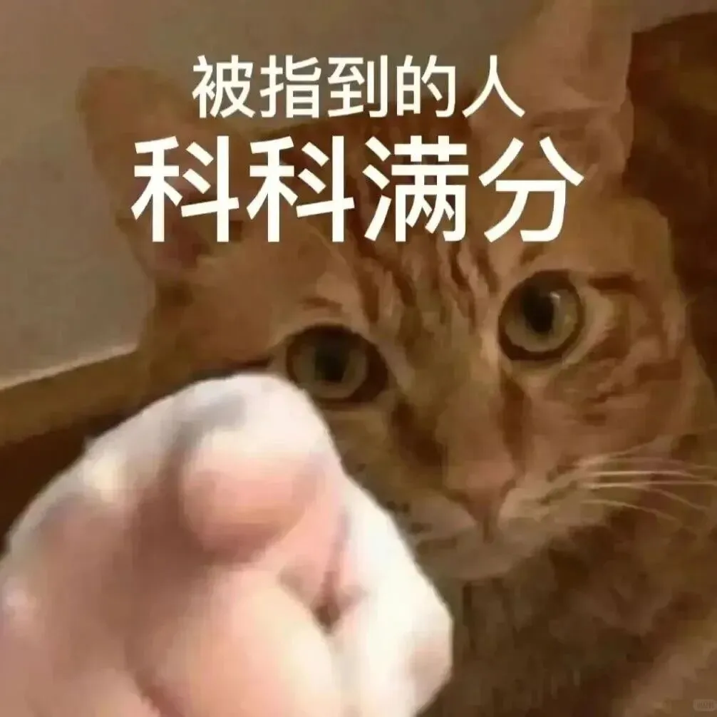 建议收藏!2026上海中考志愿填报/查分/各批次放榜时间全汇总!-第4张图片-四季读书网
