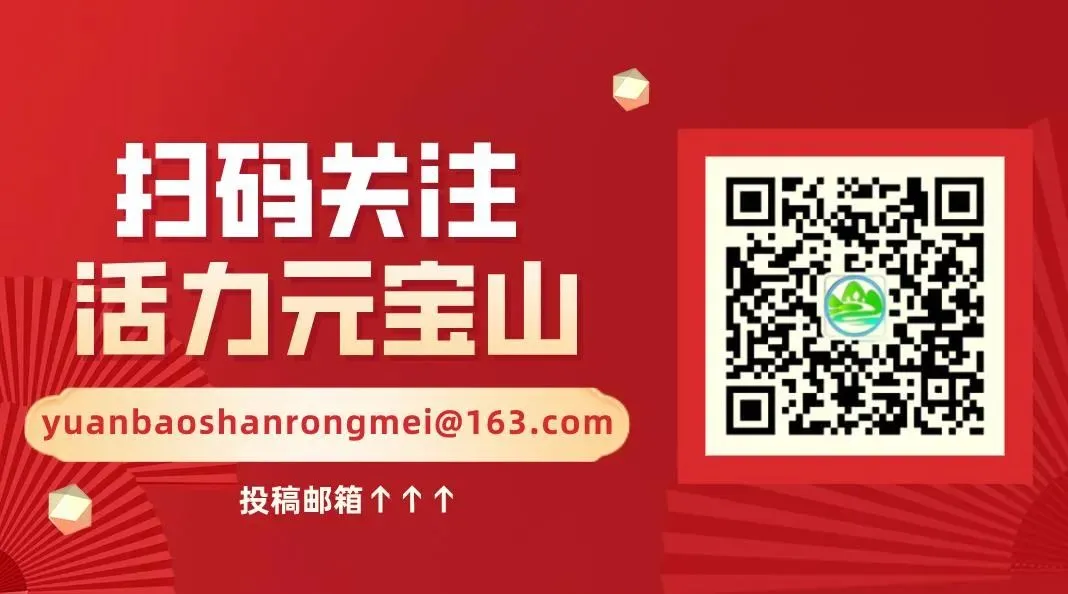 静音护航中考 文明庆贺佳绩——致全体市民的文明护考倡议书-第2张图片-四季读书网
