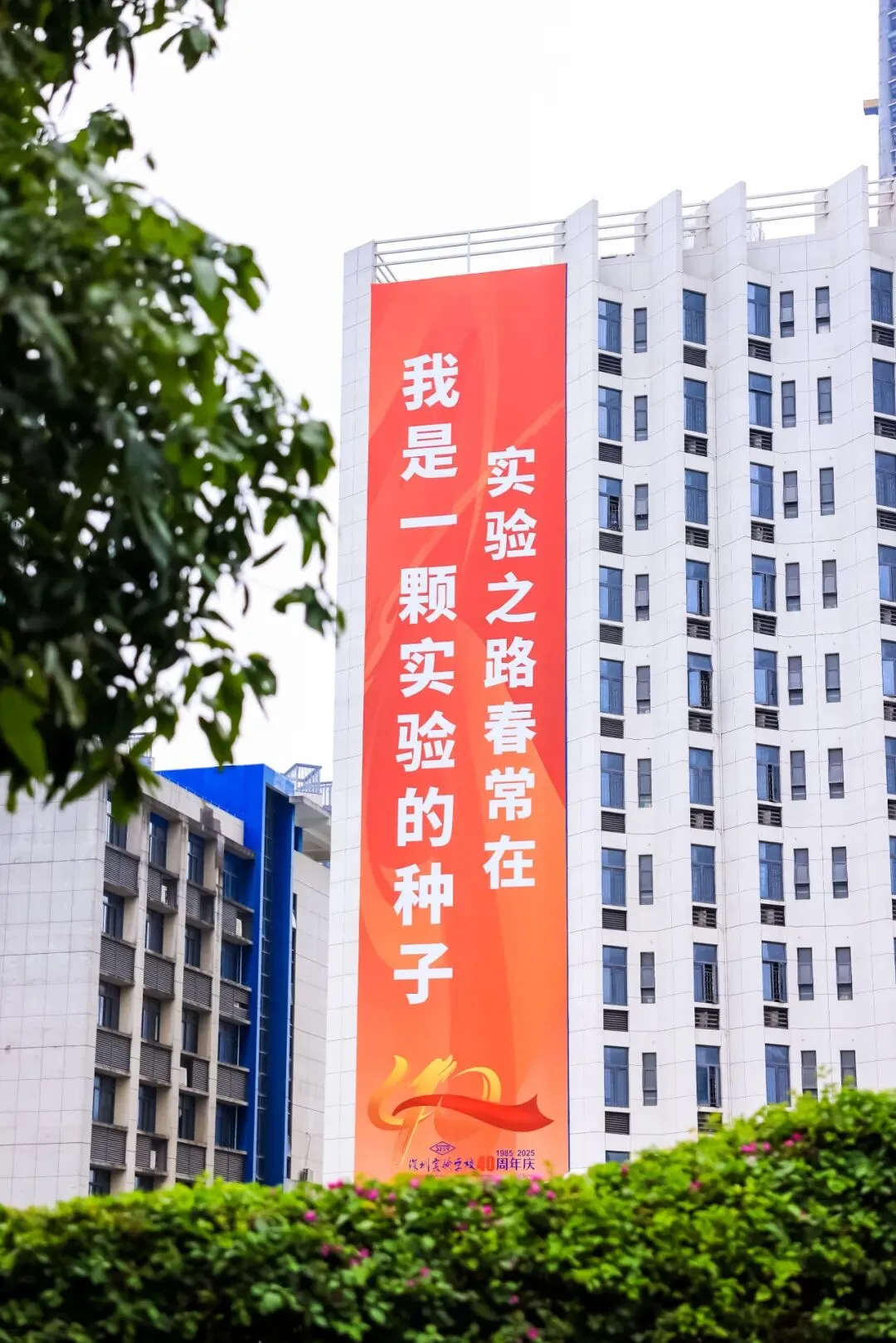 全力以赴!实验少年,中考必胜!-第42张图片-四季读书网