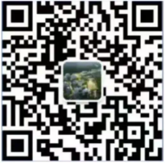 全力以赴!实验少年,中考必胜!-第63张图片-四季读书网