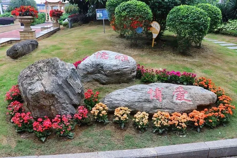 执笔为剑赢中考,追光逐梦向未来|贺州外国语学校举行初三毕业典礼暨壮行仪式-第32张图片-四季读书网