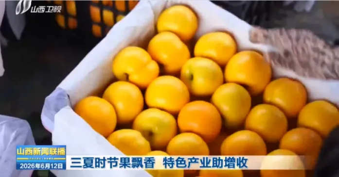 频登省媒!端午+中考双时段,运城多领域亮点出圈-第5张图片-四季读书网