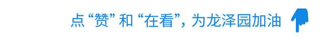 中考护航进行时!龙泽园街道全方位守护少年赴考路-第39张图片-四季读书网
