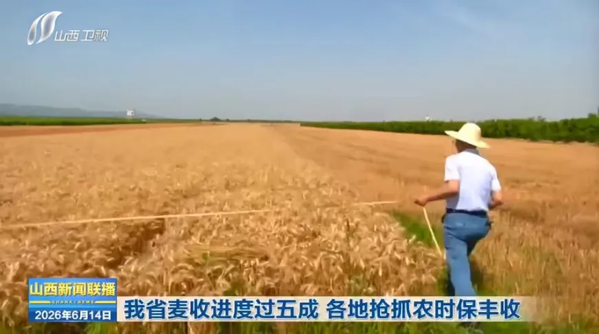 频登省媒!端午+中考双时段,运城多领域亮点出圈-第10张图片-四季读书网