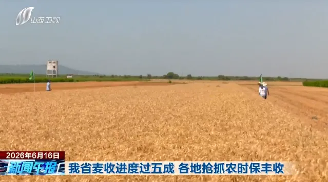 频登省媒!端午+中考双时段,运城多领域亮点出圈-第11张图片-四季读书网