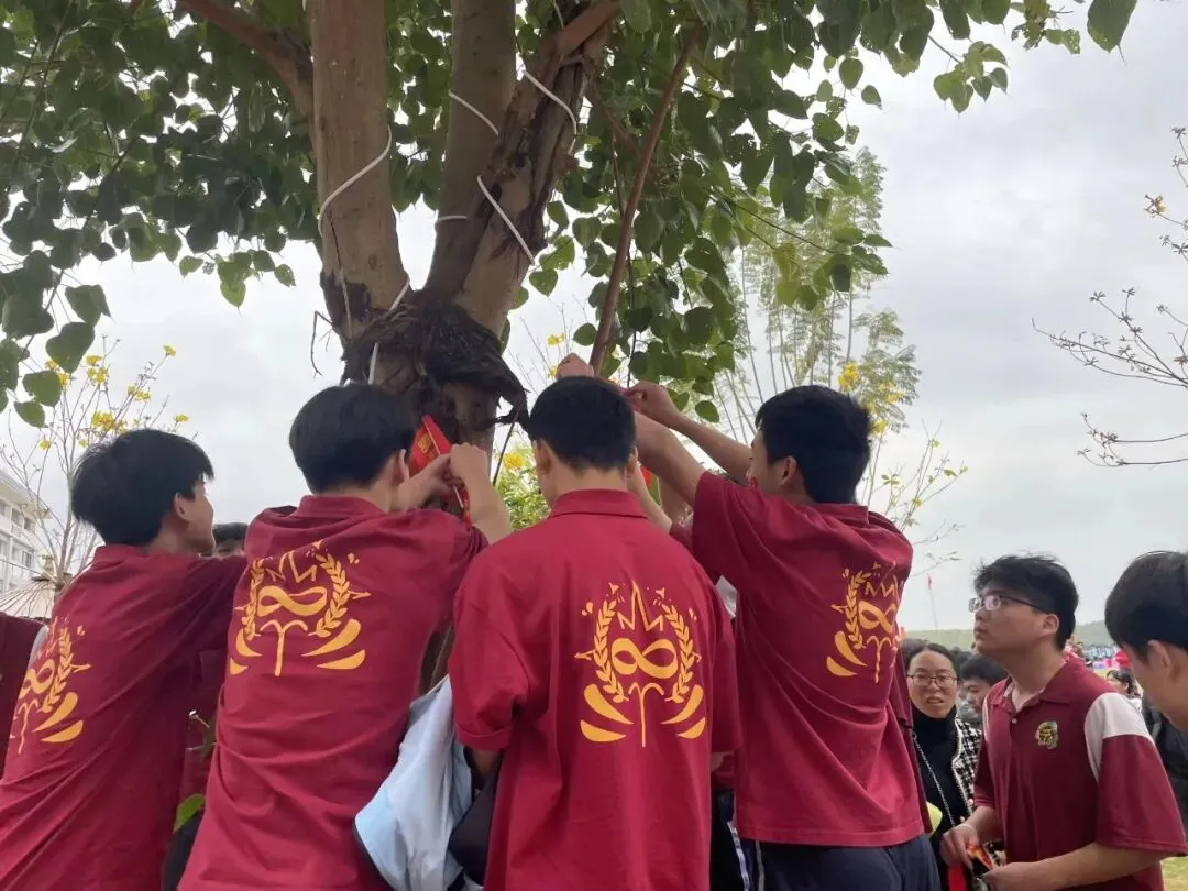 聚光启明,决战中考-第8张图片-四季读书网