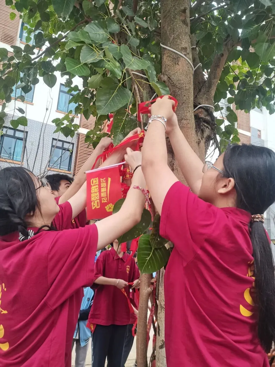 聚光启明,决战中考-第9张图片-四季读书网