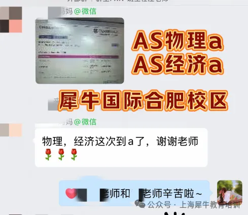中考失利转轨ALevel可以吗?犀牛国际ALevel脱产全日制冲刺世界名校!-第9张图片-四季读书网