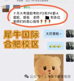 中考失利转轨ALevel可以吗?犀牛国际ALevel脱产全日制冲刺世界名校!-第12张图片-四季读书网