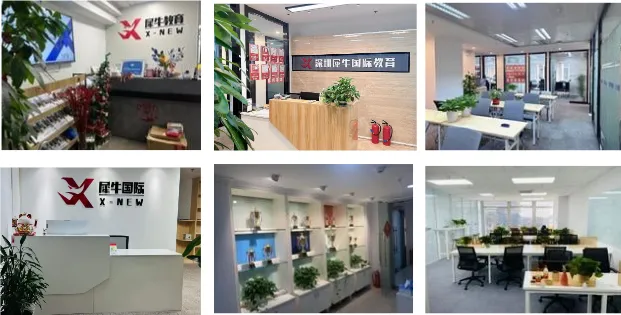 中考失利转轨ALevel可以吗?犀牛国际ALevel脱产全日制冲刺世界名校!-第13张图片-四季读书网