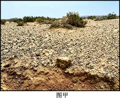 高考真题 | 2026年湖南省普通高中学业水平选择性考试地理试题-第13张图片-四季读书网