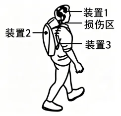 高考真题 | 2026年湖南省普通高中学业水平选择性考试生物学试题-第8张图片-四季读书网