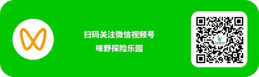 高考放分了!中考考生专属福利,丛林飞跃全线半价解锁夏日自由-第10张图片-四季读书网
