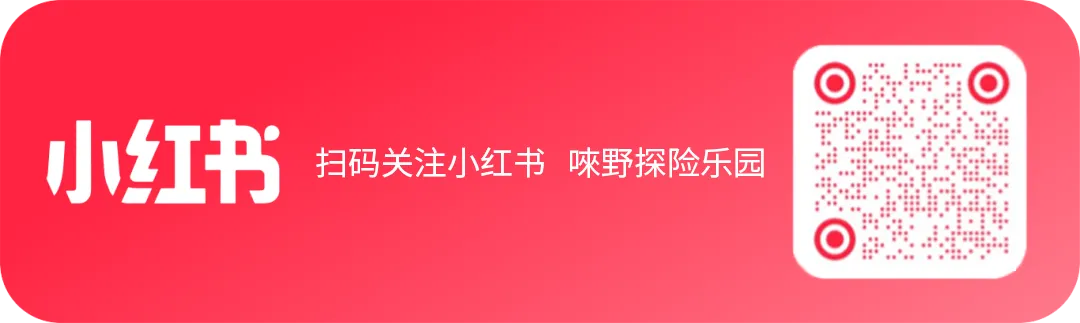 高考放分了!中考考生专属福利,丛林飞跃全线半价解锁夏日自由-第11张图片-四季读书网