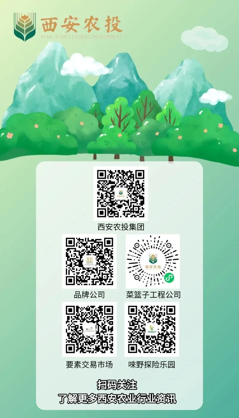 高考放分了!中考考生专属福利,丛林飞跃全线半价解锁夏日自由-第13张图片-四季读书网