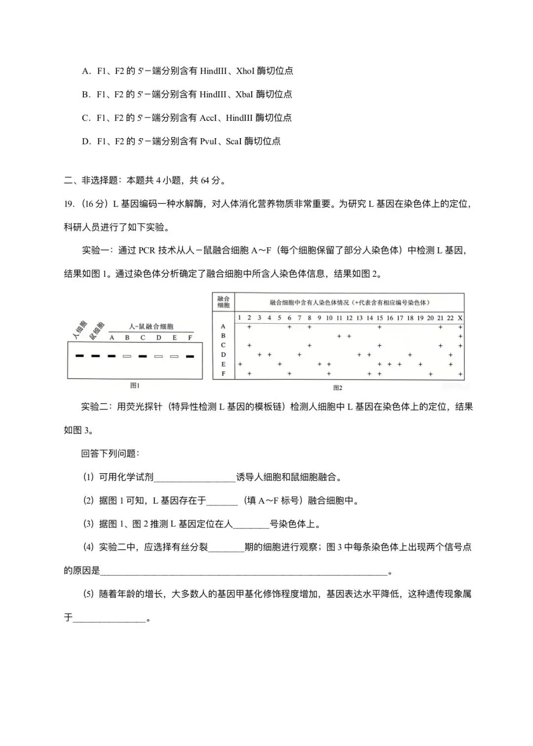 2026湖北卷高中生物试卷-第7张图片-四季读书网