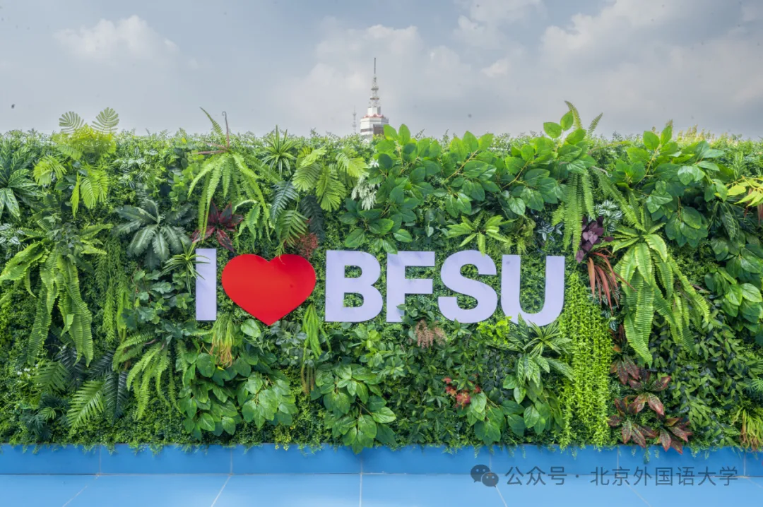 北京外国语大学 | 汉硕一战上岸经验|真题大量重复,院校全程班 400 分上岸攻略-第14张图片-四季读书网