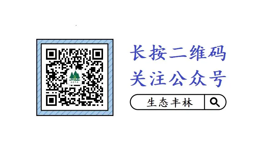 丰林县:多方协同履职尽责 扎实做好中考保障工作-第9张图片-四季读书网