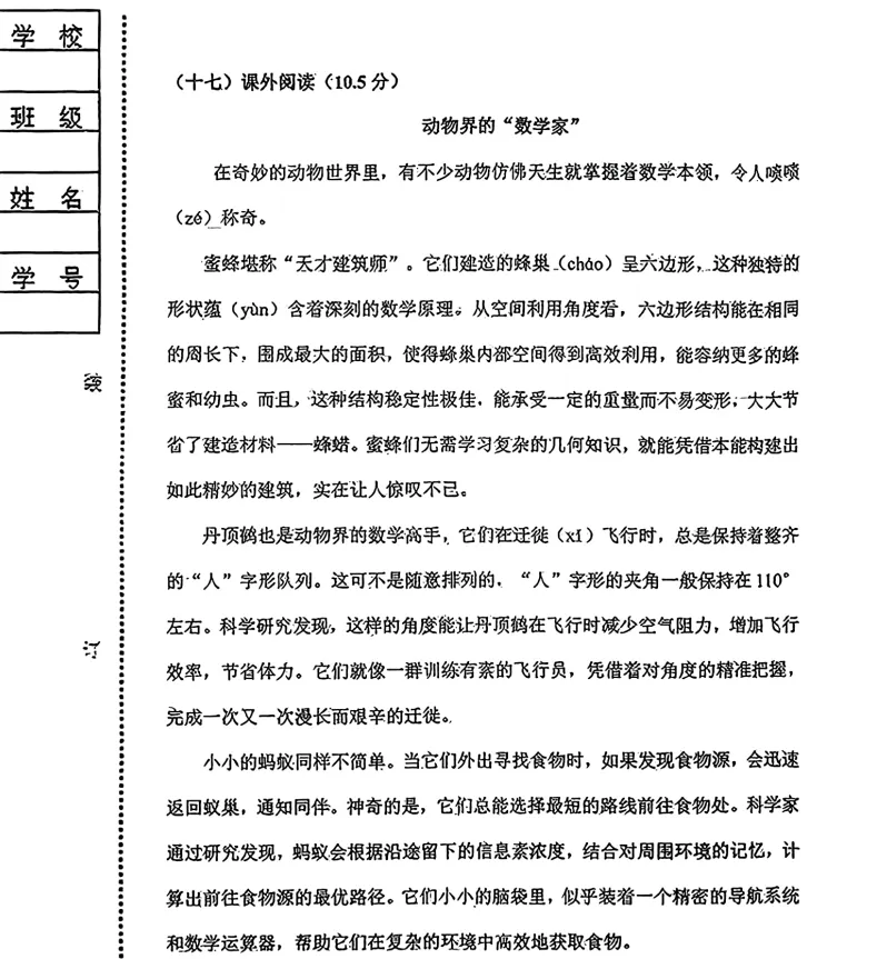 2025年7月辽阳四年语、数期末试卷-第5张图片-四季读书网