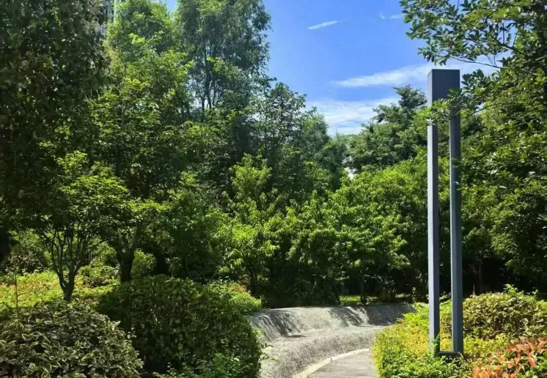 中考失利那年,我以为人生完了-第1张图片-四季读书网