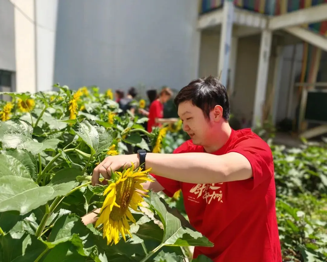中考最后一天|提笔是少年,合笔是荣光-第23张图片-四季读书网