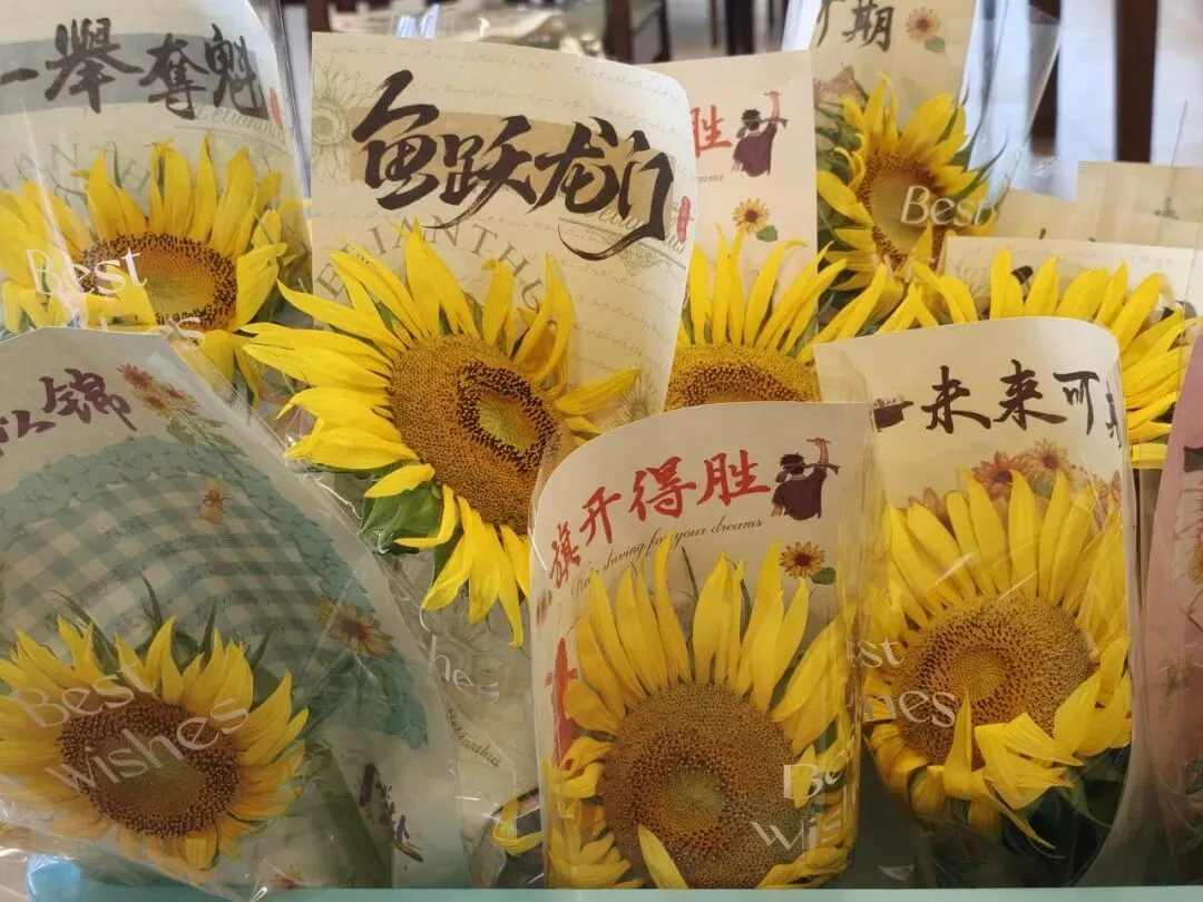 中考最后一天|提笔是少年,合笔是荣光-第34张图片-四季读书网