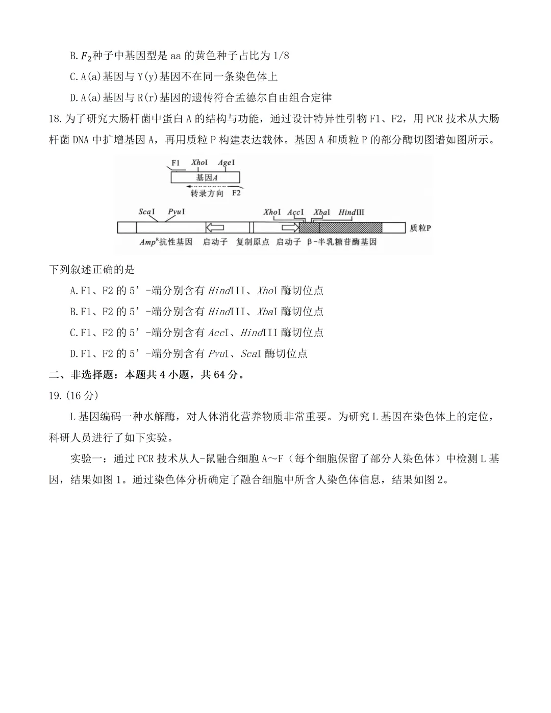 2026湖北高考生物真题(完整版)-第6张图片-四季读书网