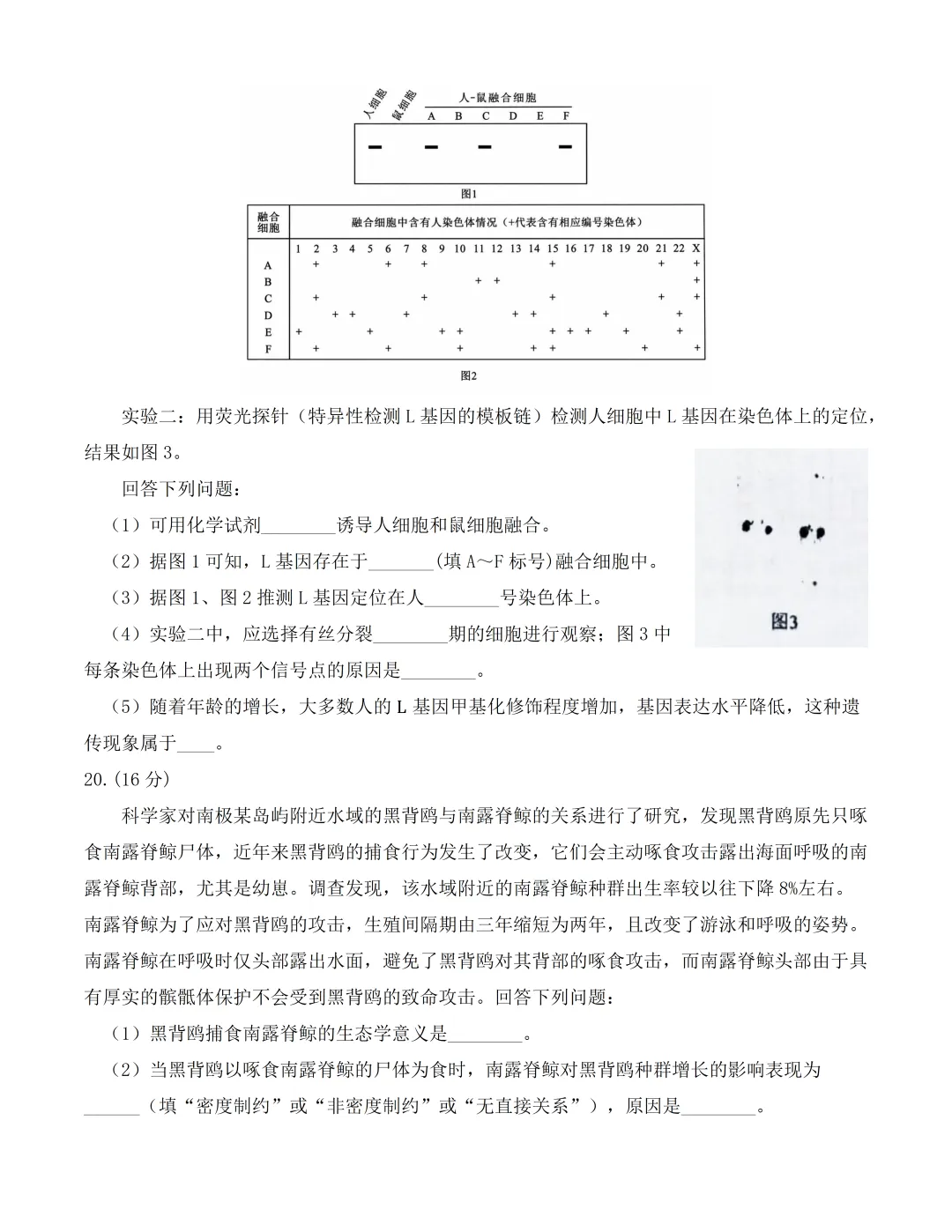 2026湖北高考生物真题(完整版)-第7张图片-四季读书网