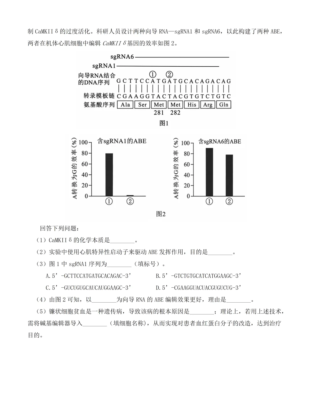 2026湖北高考生物真题(完整版)-第9张图片-四季读书网