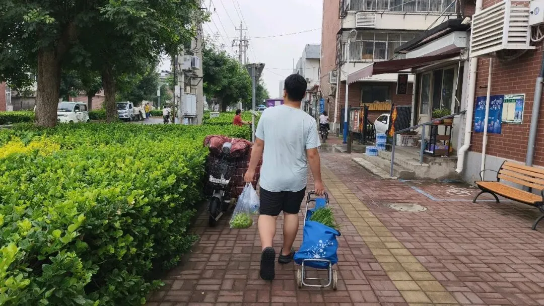 中考落幕,我的少年悄悄长大-第1张图片-四季读书网