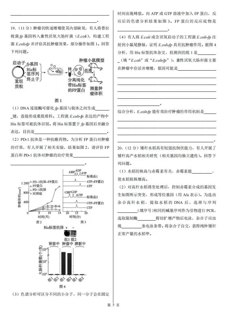 【高考真题】2026年高考四川卷生物高考真题-第5张图片-四季读书网