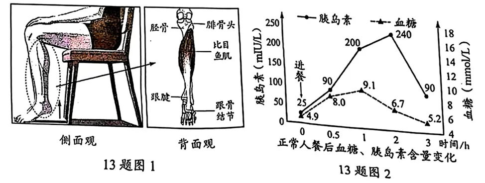 2026年湖北生物中考试题-第9张图片-四季读书网