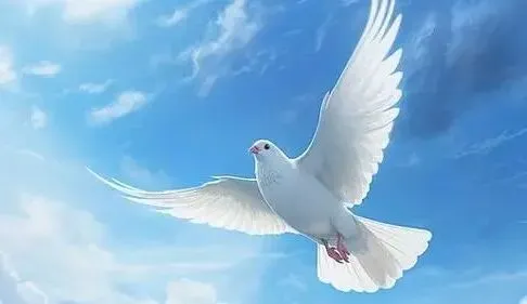 小学班主任的中考祝福-第1张图片-四季读书网