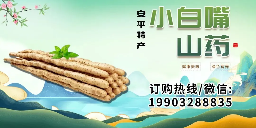 衡水市中考成绩查询时间公布-第1张图片-四季读书网