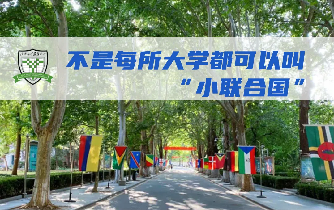 中考后普高、职高、日本留学怎么选?3种路径费用对比-第1张图片-四季读书网