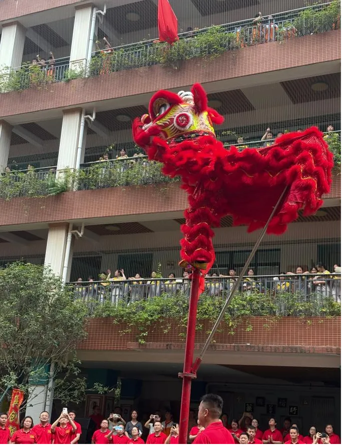 初三逐梦,决胜中考!-第6张图片-四季读书网