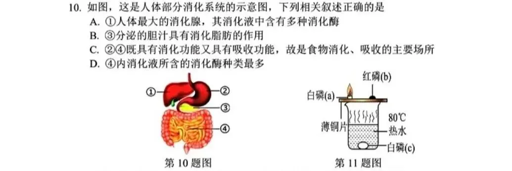 【八下真题】26年6月杭州锦绣育才八下科学期末卷重难点和易错点深度拆解-第11张图片-四季读书网