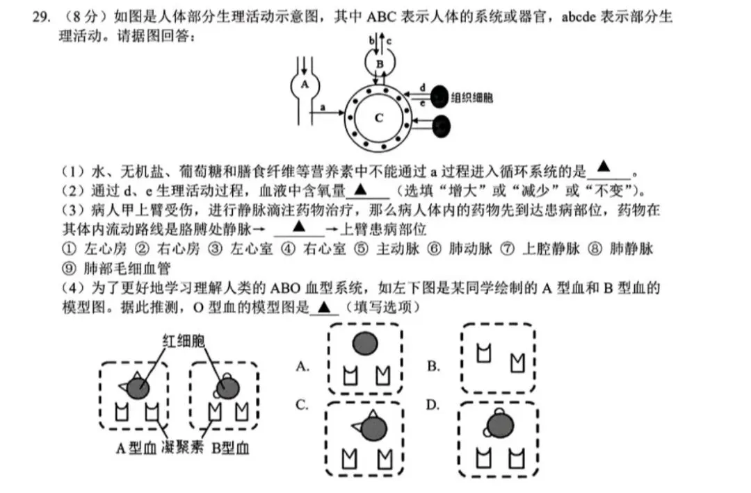 【八下真题】26年6月杭州锦绣育才八下科学期末卷重难点和易错点深度拆解-第13张图片-四季读书网