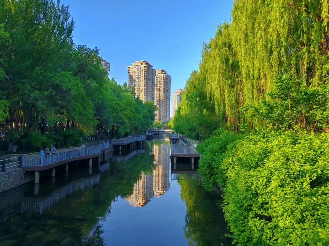 未来几天哈市多云为主丨28日有雷阵雨,中考考生注意防暑 #超多美图的天气预报-第14张图片-四季读书网 未来几天哈市多云为主丨28日有雷阵雨,中考考生注意防暑 #超多美图的天气预报-第14张图片-四季读书网