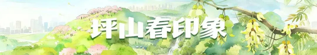中考首日直击→加油坪山少年!-第15张图片-四季读书网