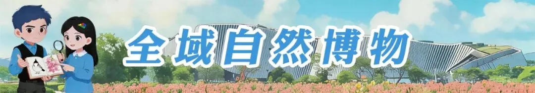 中考首日直击→加油坪山少年!-第16张图片-四季读书网