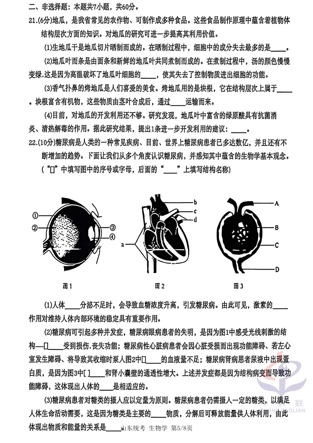 【2026中考试卷】山东省统考(语文/数学/地理/生物学)中考真题试卷-第32张图片-四季读书网