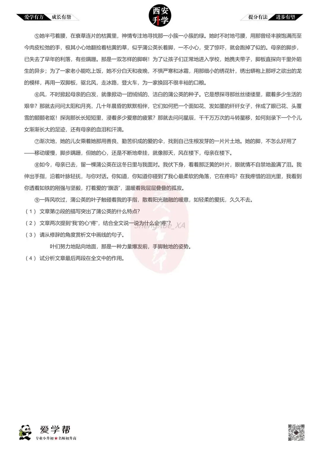 【新初一入学分班考 往年真题】爱知中学~语文(含答案)-第4张图片-四季读书网